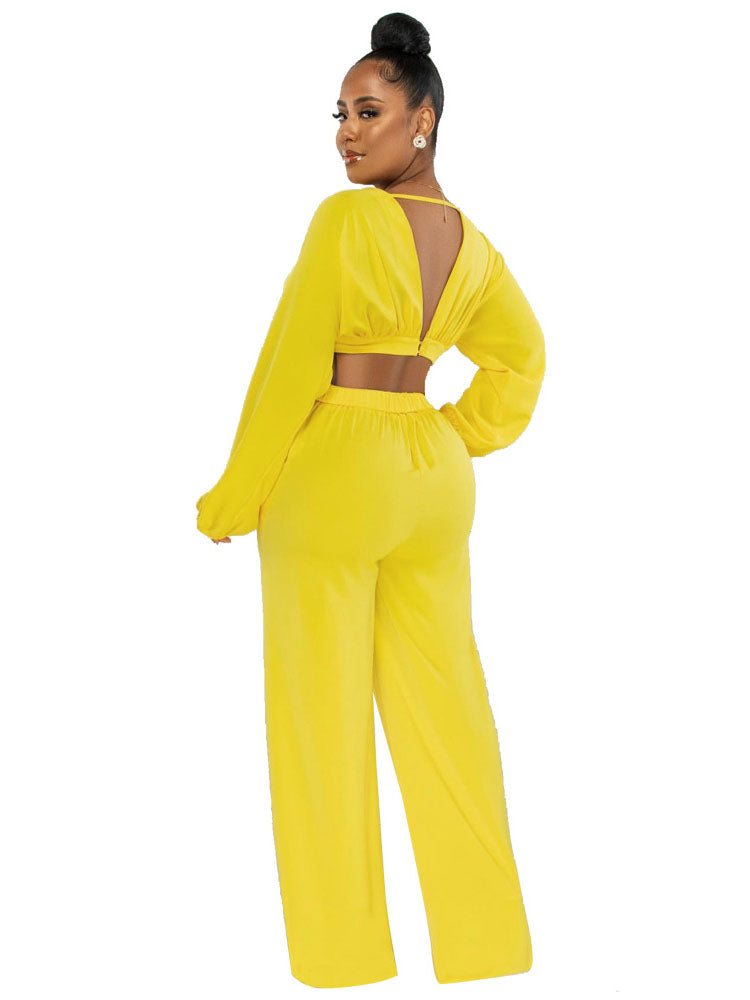 Two Piece V Neck Crop Top & Wide Leg Pants