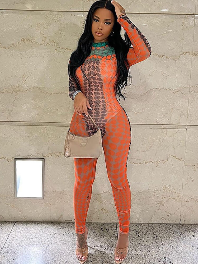 Long Sleeve Printed Color Block Bodycon Jumpsuit