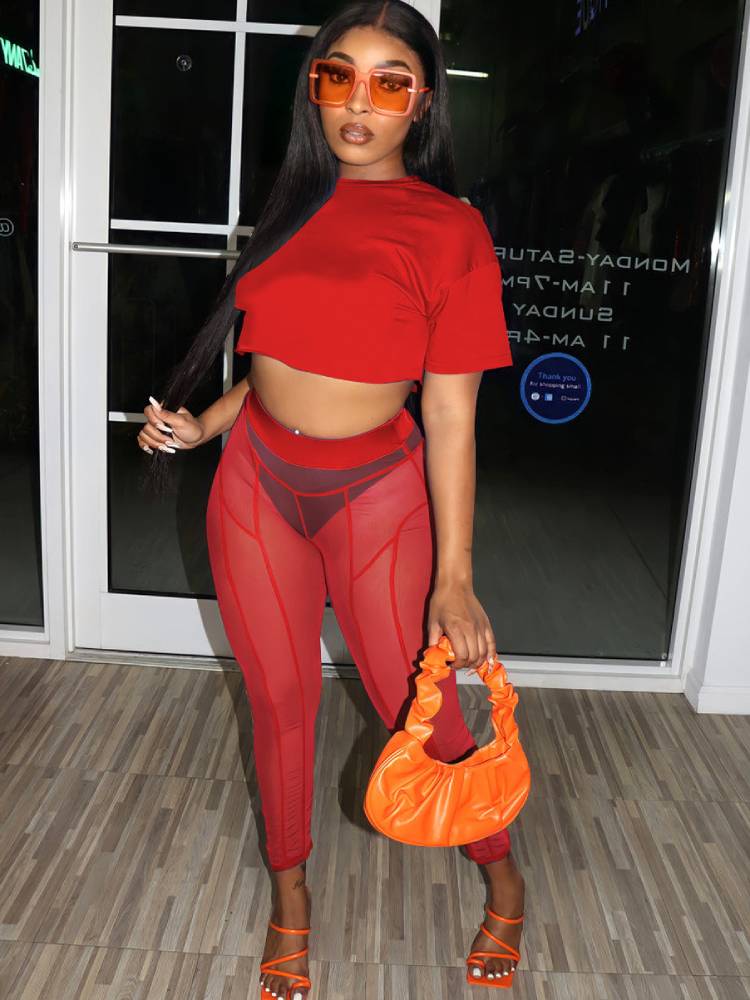 Two Piece Short Sleeves Crop Top & Mesh Pants