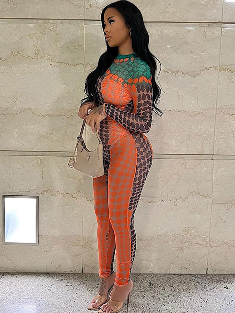 Long Sleeve Printed Color Block Bodycon Jumpsuit