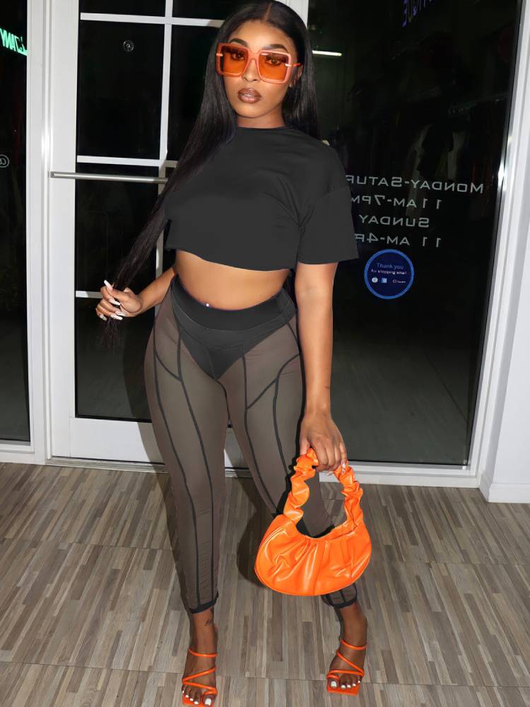 Two Piece Short Sleeves Crop Top & Mesh Pants