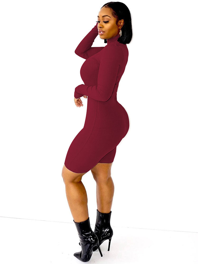 Long Sleeve Bodycon High Neck Ribbed Knit Jumpsuit
