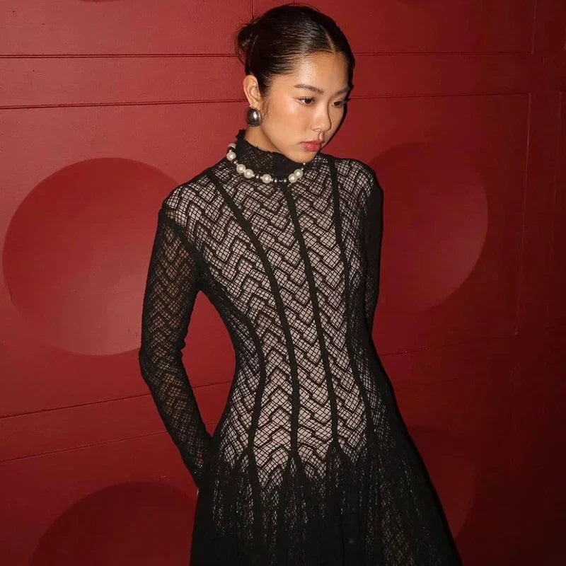 Lace Embroidery High Collar Long Sleeve Maxi Dress