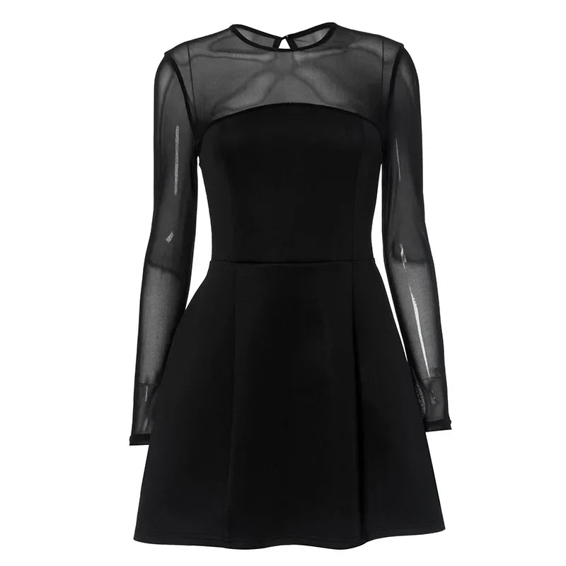 Black Mesh Long Sleeve A-Line Mini Dress