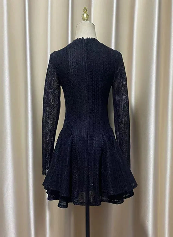 Lace Textured Embroidered Trim Mesh Flare Round Neck Mini Dress