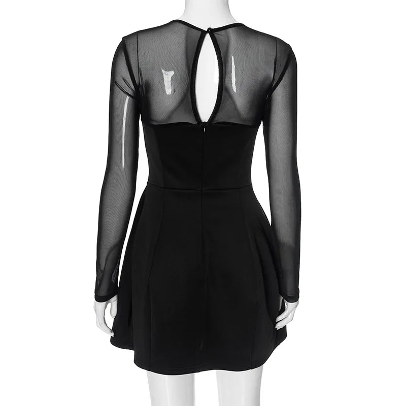 Black Mesh Long Sleeve A-Line Mini Dress