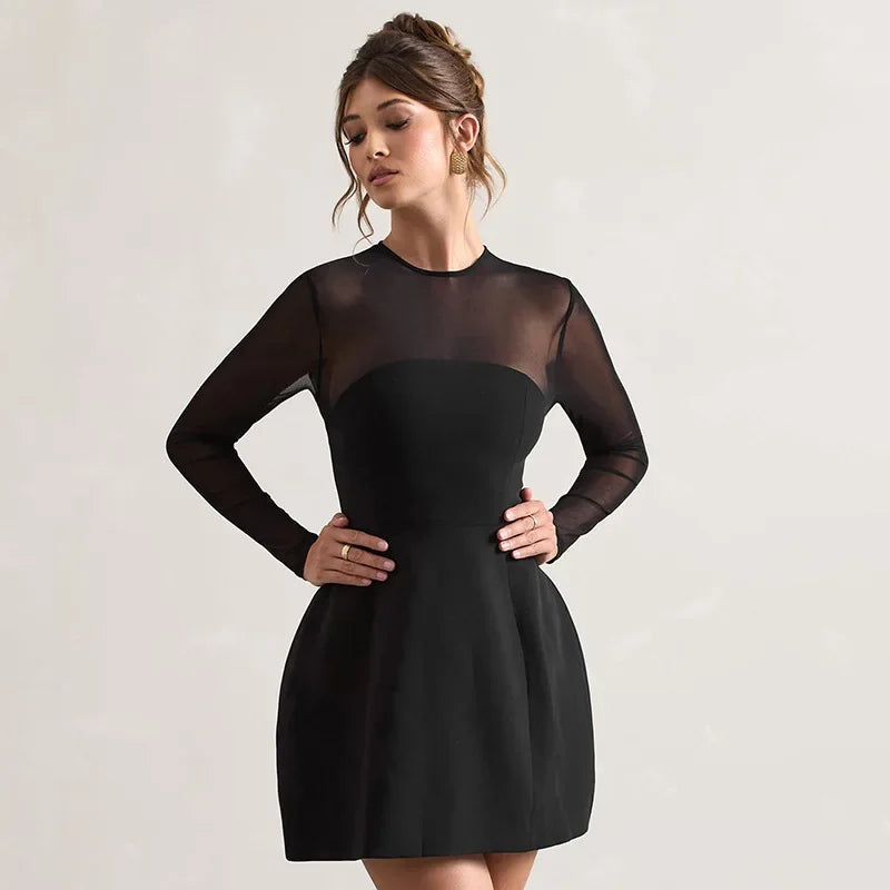 Black Mesh Long Sleeve A-Line Mini Dress