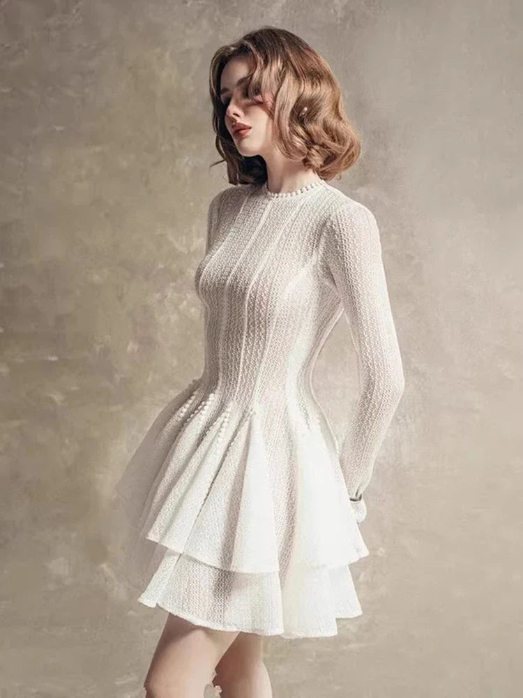 Lace Textured Embroidered Trim Mesh Flare Round Neck Mini Dress