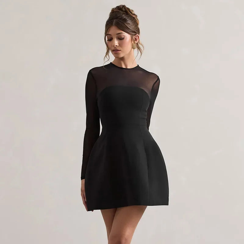 Black Mesh Long Sleeve A-Line Mini Dress
