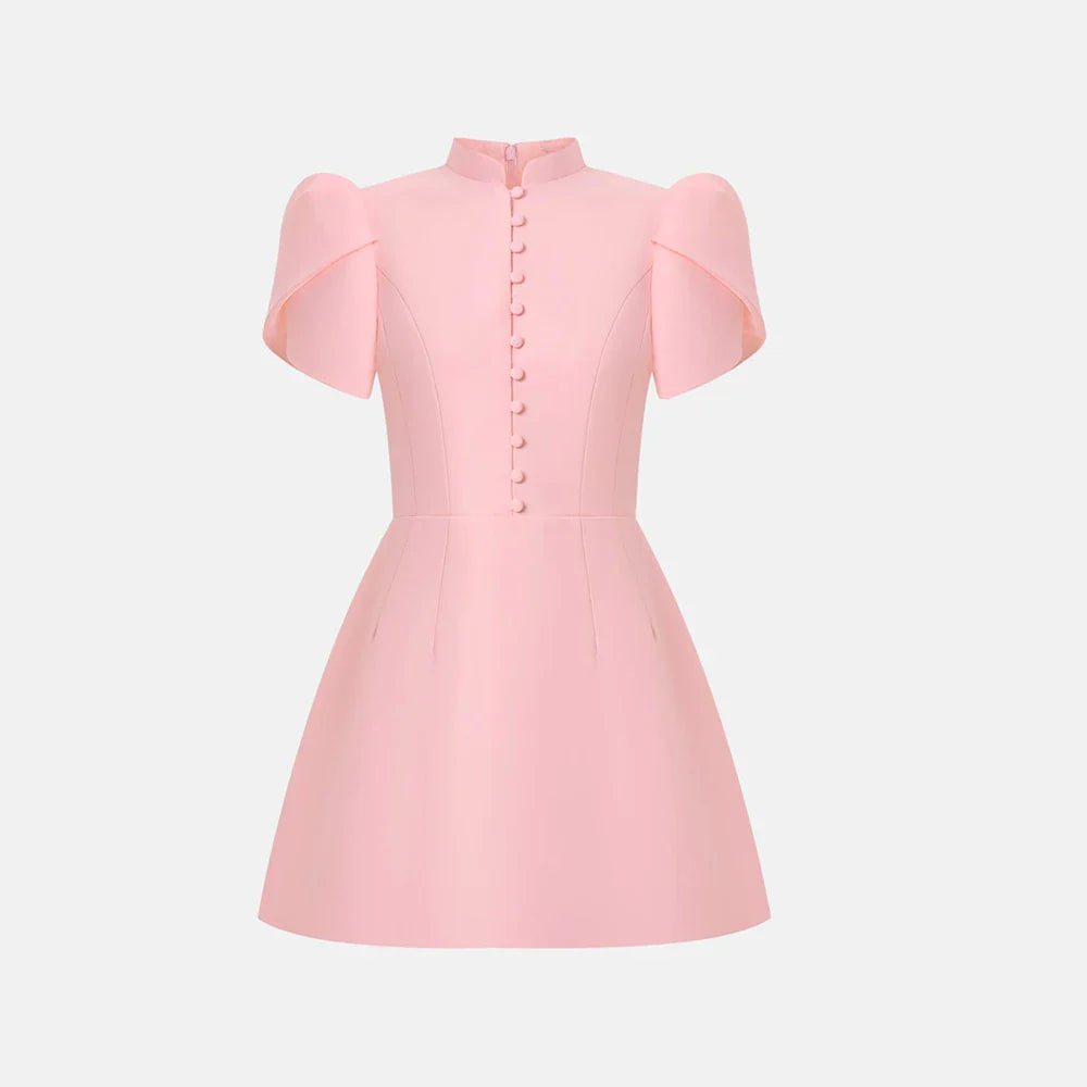 Stand Neck Puff Sleeve Mini Dress