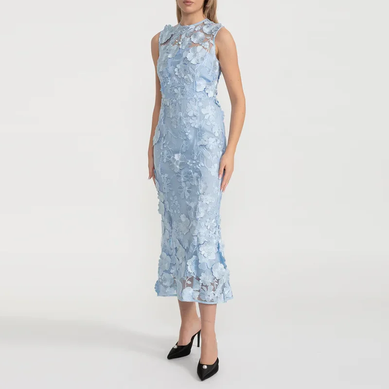 Light Blue Lace Appliqué Midi Dress | Sleeveless Elegant Floral Mesh Gown